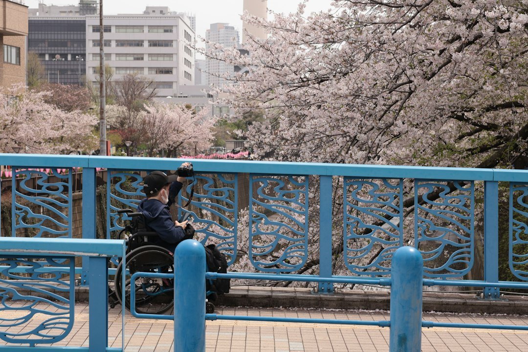 seniors at cherry blossom viewing