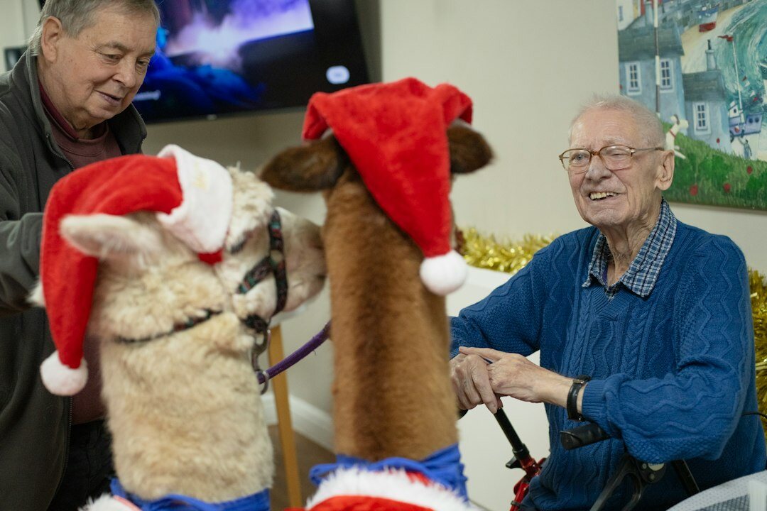 seniors at community event