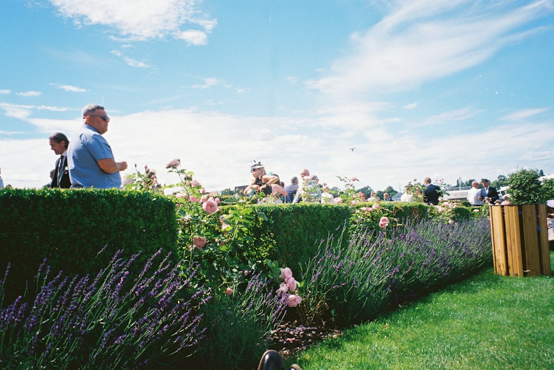 Senior citizens enjoying a garden social gathering with tea